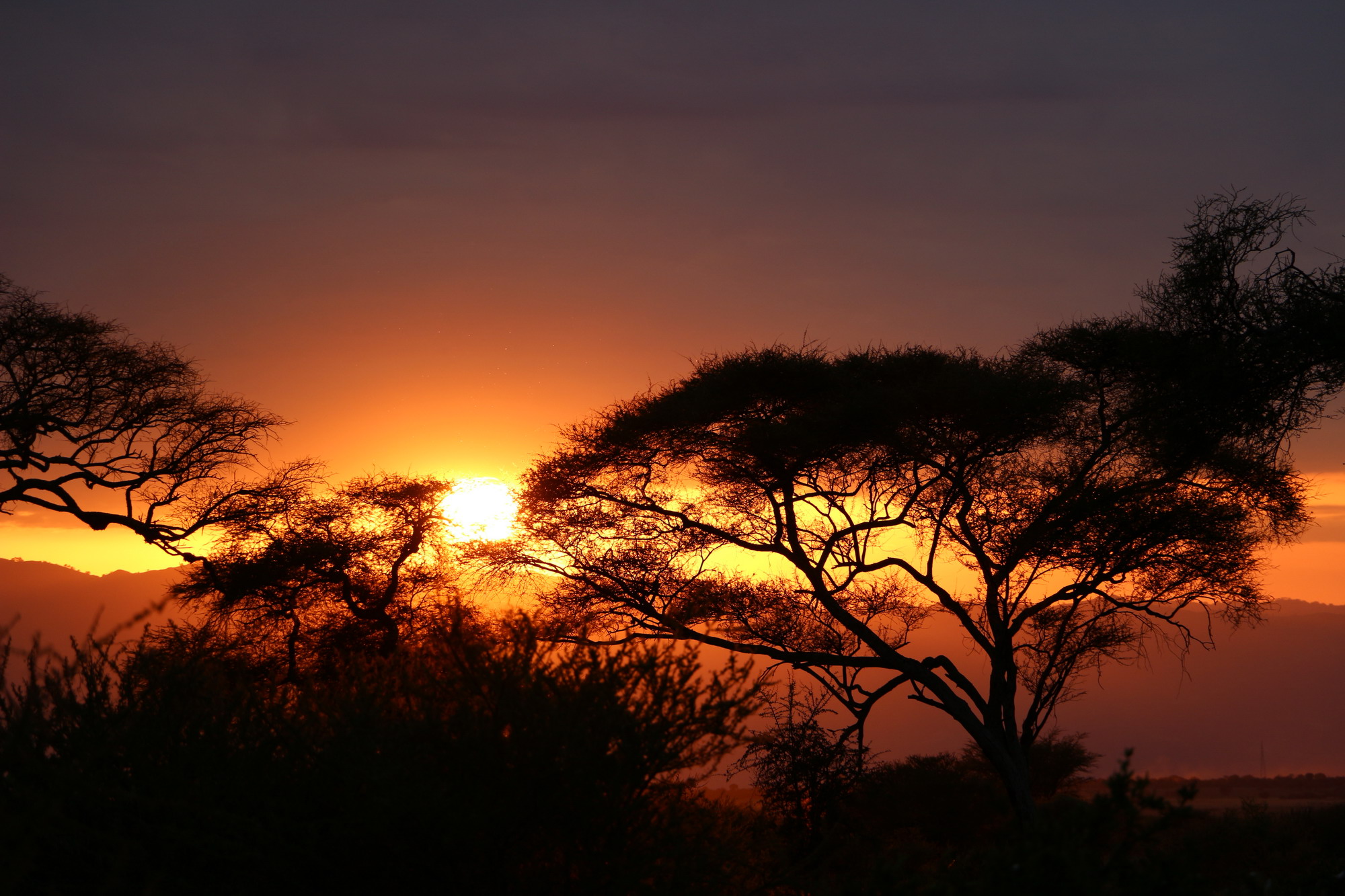 Tarangire National Park Tanzania